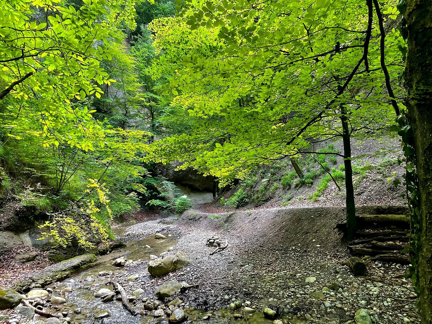 Cholerenschlucht