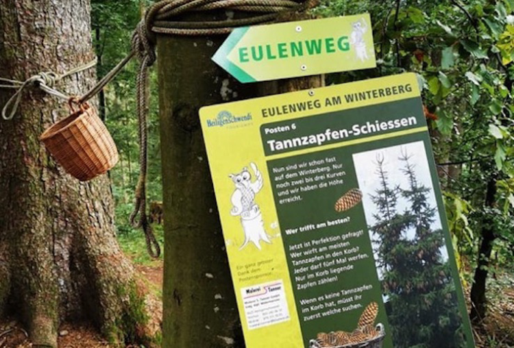 Eulenweg am Winterberg